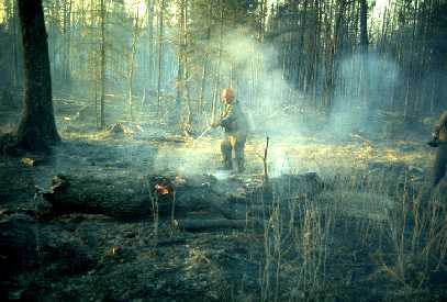 Fighting forest fire in northeastern Minnesota