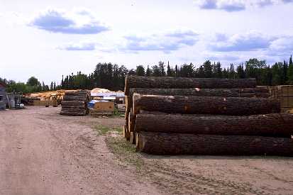 Logs at sawmill