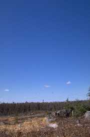 Same scene showing stump of previous tree on state-administered public land