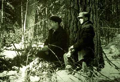 Old Foresters in woods in Minnesota